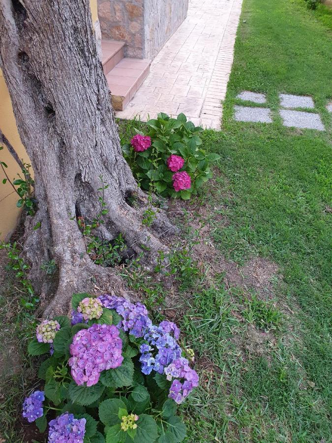 Laura Casa Vacanze Capo Vaticano Ngoại thất bức ảnh